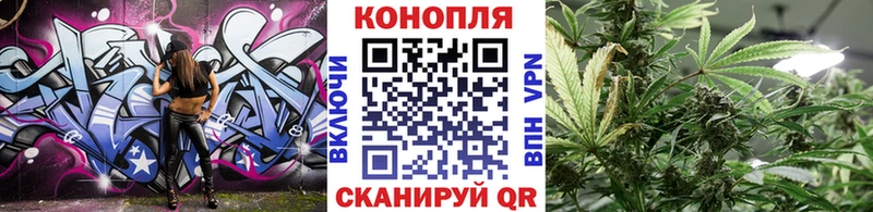 Бошки Шишки гибрид  Ряжск 